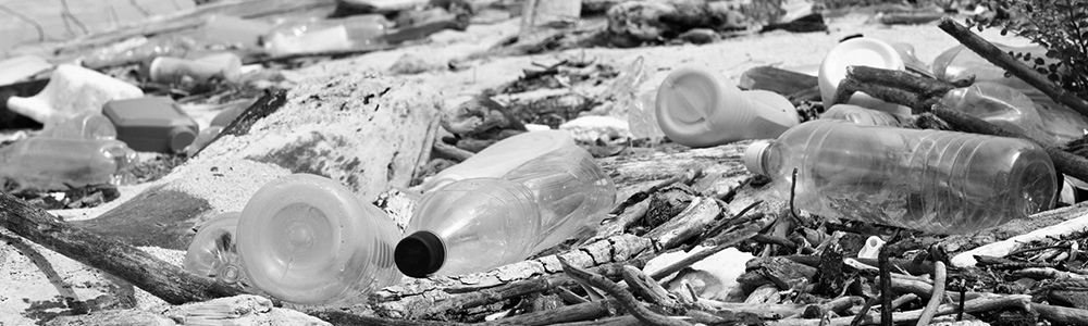 МАРПОЛ 73/78 - Международная конвенция по предотвращению загрязнения с судов