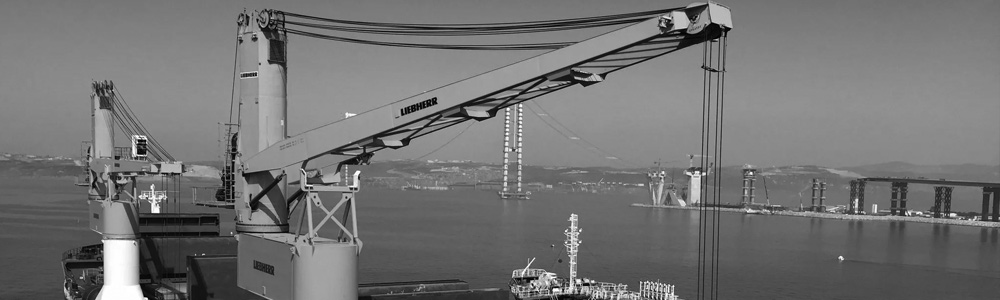 Грузовое устройство судна