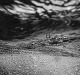 Основные химические и физические свойства морской воды