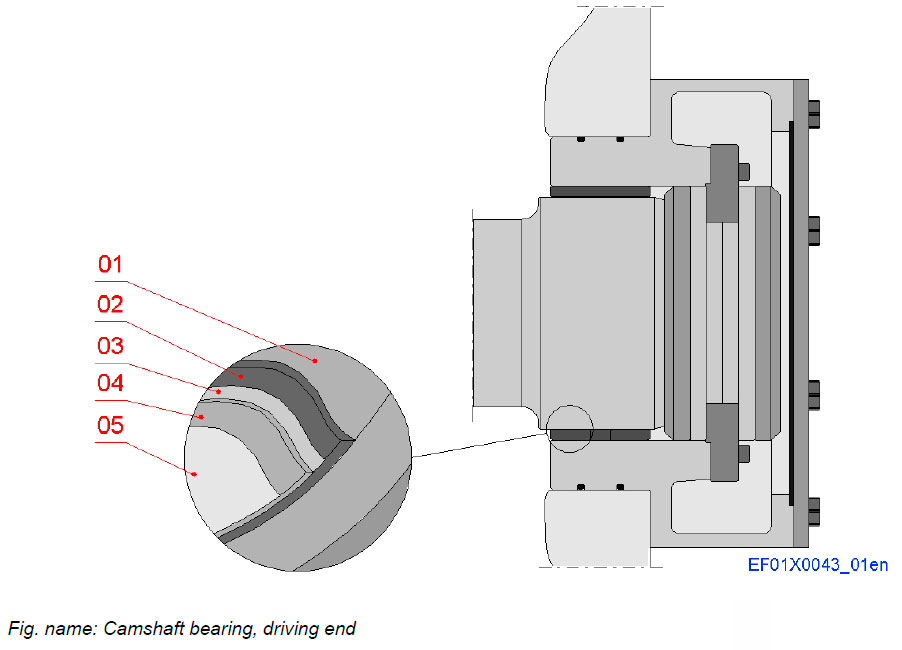 Camshaft bearing, driving end