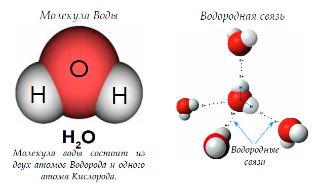 Водородная связь
