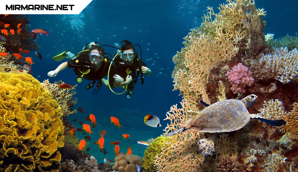 Дайвинг - Навигация, компас, магнетизм, ориентирование