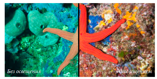 Ночные погружения