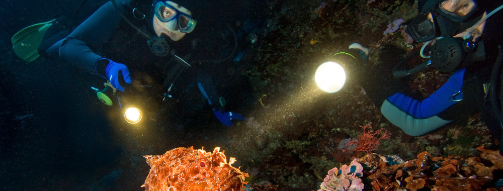 дайвинг ночью