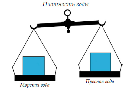 Плотность воды