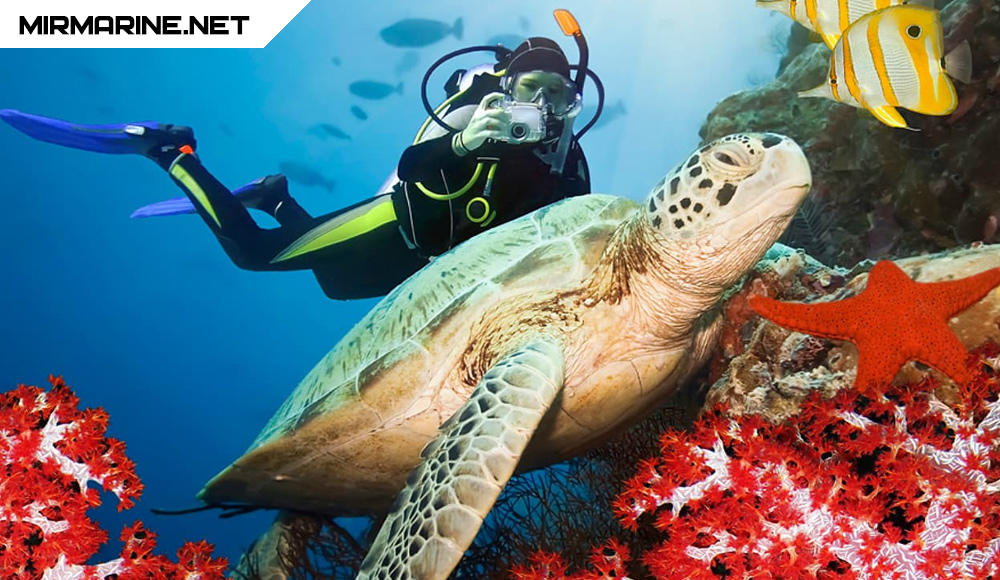 Дайвинг - Газообмен