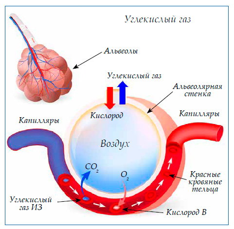 Углекислый газ