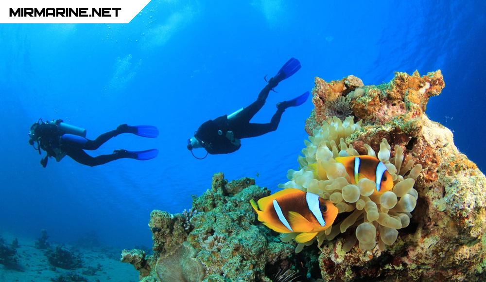 Дайвинг - Азотный наркоз, Гипероксия