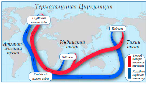 Термохалинная Циркуляция