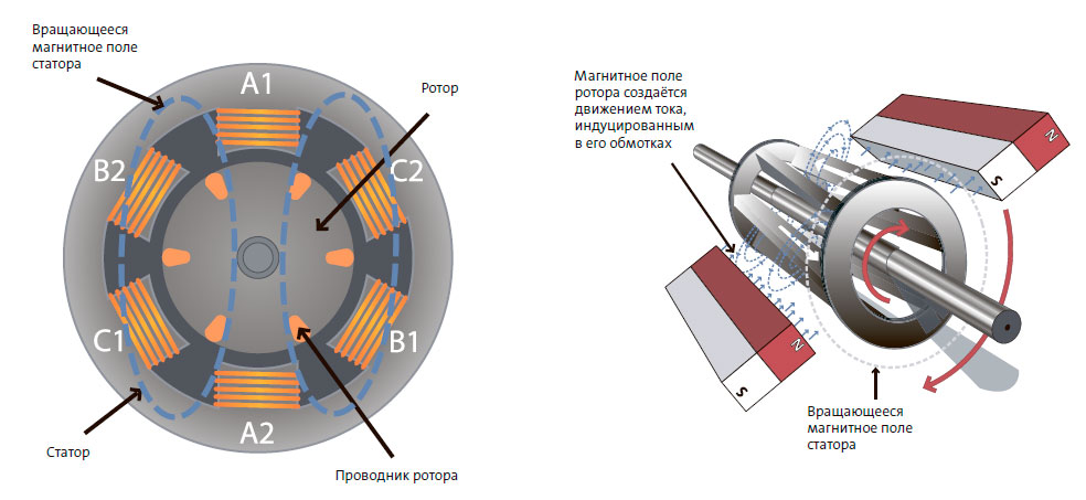 Магнитное поле ротора