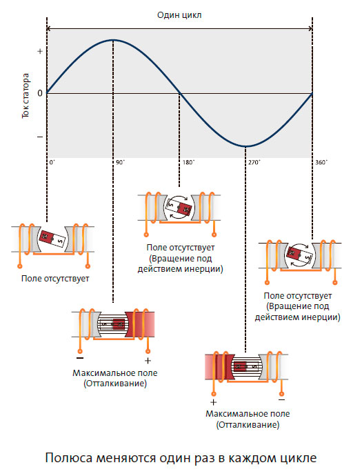 Полюса меняются один раз в каждом цикле