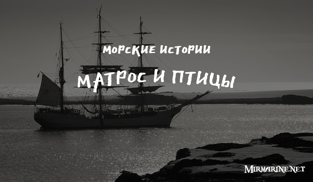 Сергей Опанасенко - Матрос и птицы