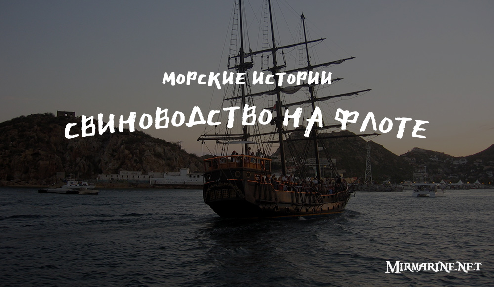 Александр Курышин - Свиноводство на флоте