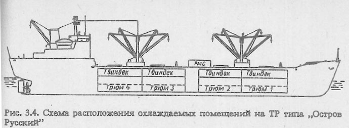 Схема расположения охлаждаемых помещений на ТР типа „Остров Русский” 