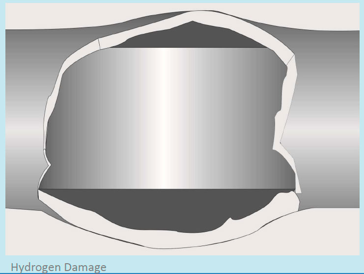 Hydrogen Damage