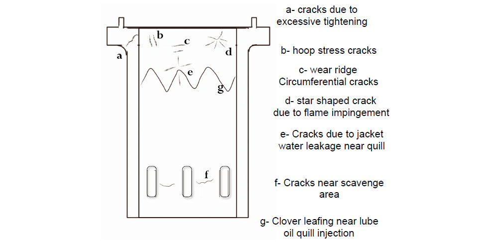 Cylinder Liner - 3