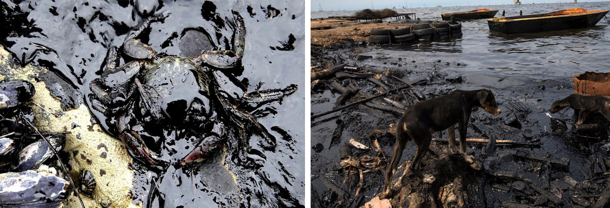 Разлив нефти