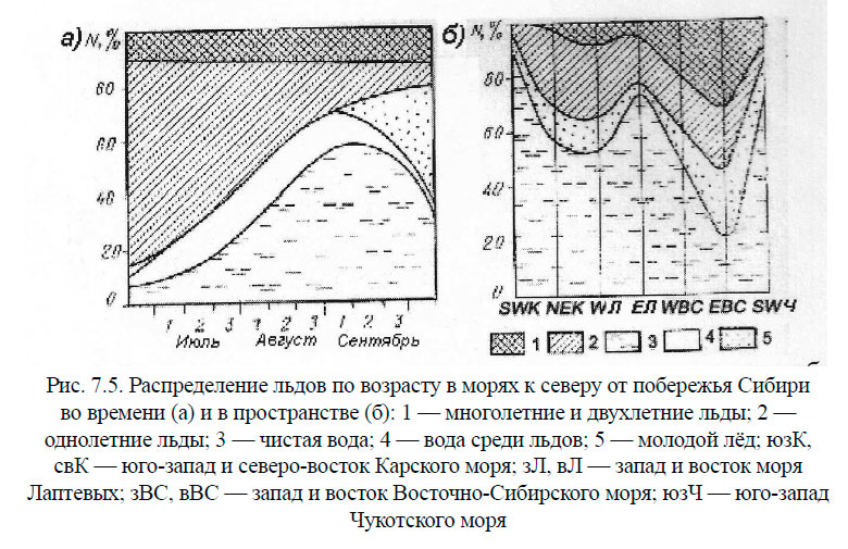Распределение льдов по возрасту в морях к северу от побережья Сибири