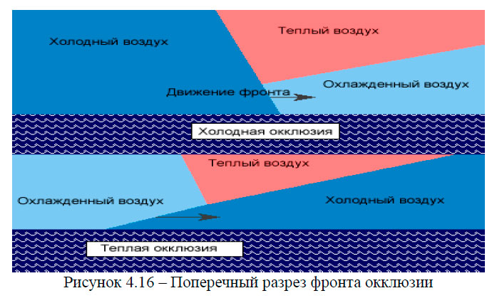 Поперечный разрез фронта окклюзии