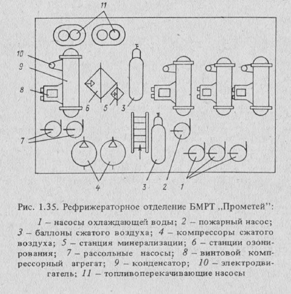 Рефрижераторное отделение БМРТ Прометей